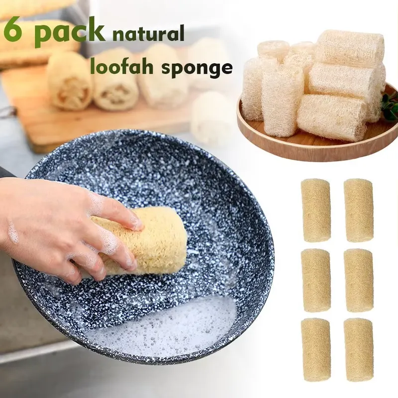 2026 En Yeni Doğal Lif Sünger  - Eco Sponge incelemesi ve fiyatı